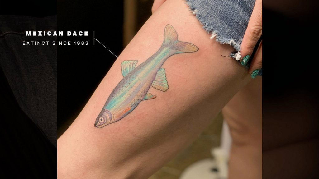 Sea Shepherd Puts Tattoos Of Extinct Animals On Bodies For Lifelong Awareness - Corporate B2B Sales & Digital Marketing Agency in Cardiff covering UK