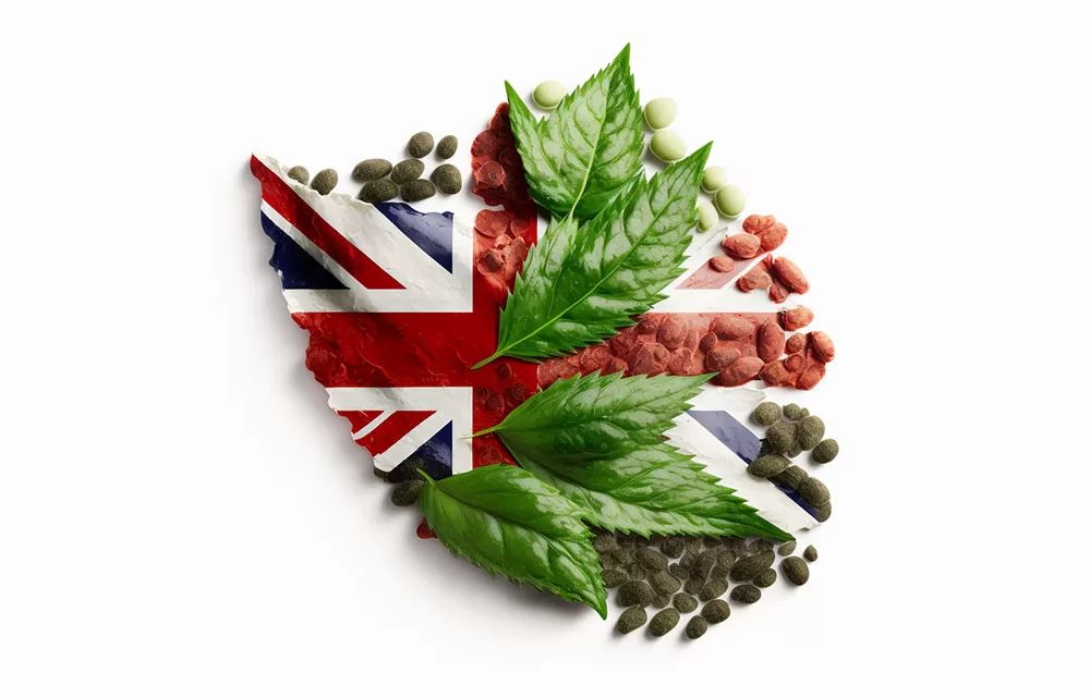 eureka digital – Digital Marketing & Advertising Agency